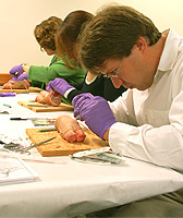 Resident Procedure Workshop