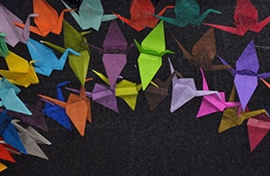 Origami cranes created at the DFM’s “Soaring Toward Change” event represent a shared commitment to addressing diversity, health equity and inclusion.