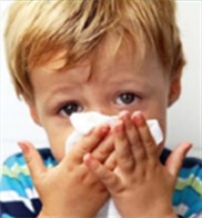 ORegon CHild Absenteeism due to Respiratory Disease Study (ORCHARDS)