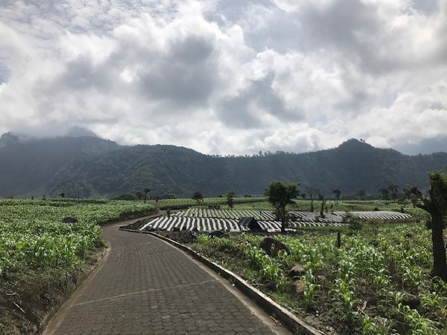 Guatemalan highlands