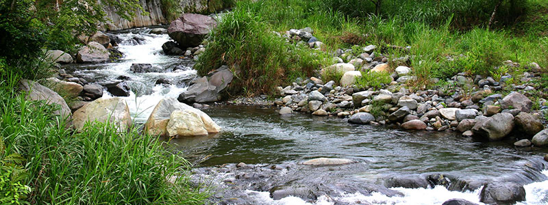 STREaM photo