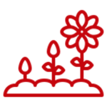 Transform icon